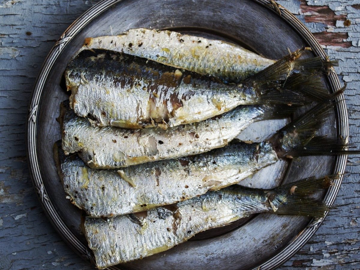 plate_sardines