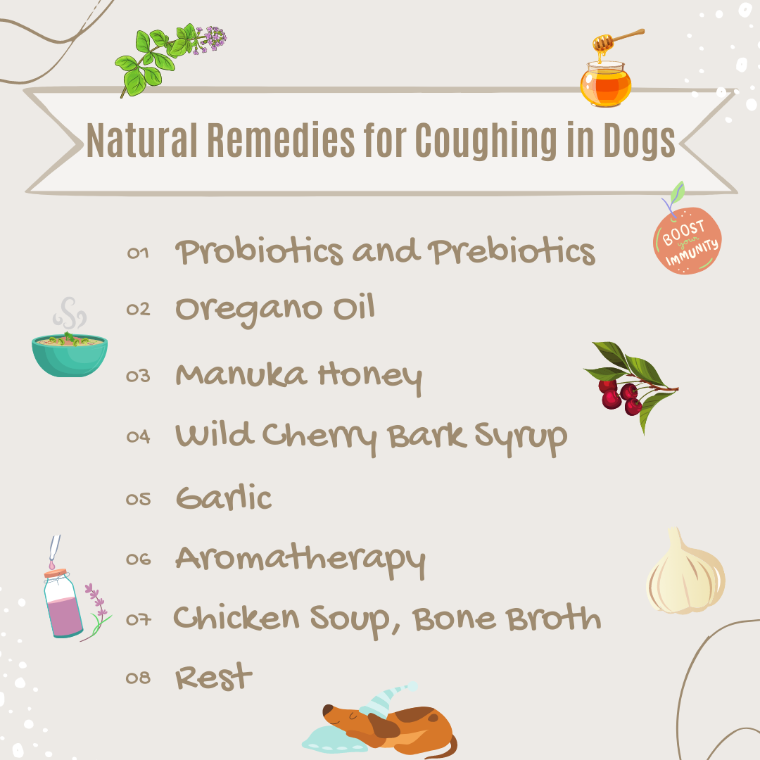 home remedy for coughing dog